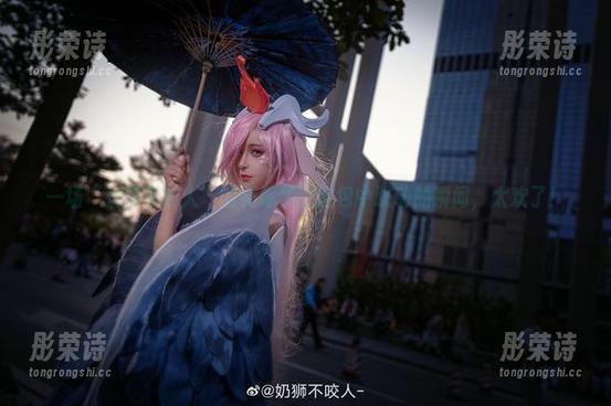 一场“奶狮不咬人”的花嫁梦，图包中跳动的瞬间，太欢了！
