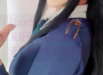 花リリ(Plant Lily)的猫娘精选，发现办公室原来还可以这样搭配，耳边似乎传来了轻声细细的喵语。